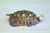 Antique French Samson porcelain jewelry or trinket box in the form of a turtle, circa early 20th century. Fun piece, great...