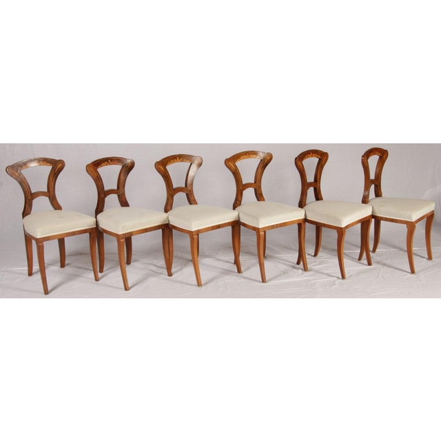 Wood Antique Biedermeier Chairs, Vienna, Austria, 1820s-1830s, Set of 6 For Sale - Image 7 of 18