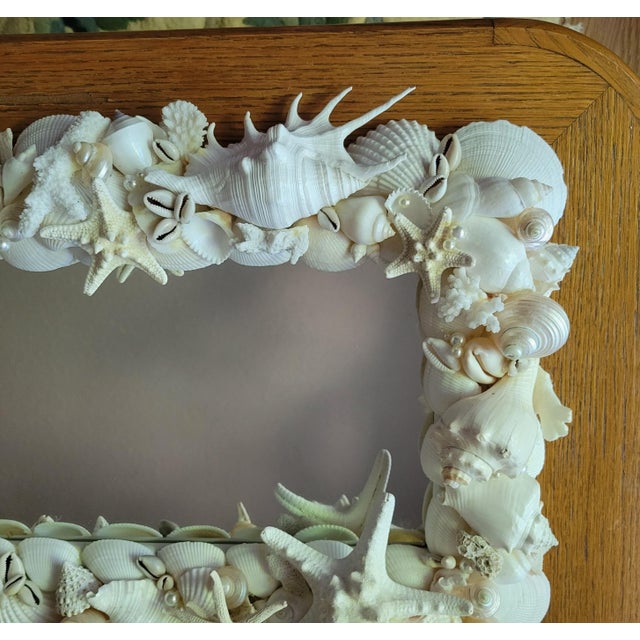 2020s Handmade White Seashell and Coral Wall Mirror For Sale - Image 5 of 7