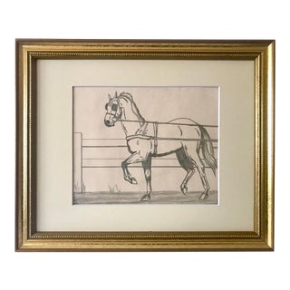 Original Vintage Pencil Graphite Drawing of a Horse Signed M. Loser Circa 1950 For Sale