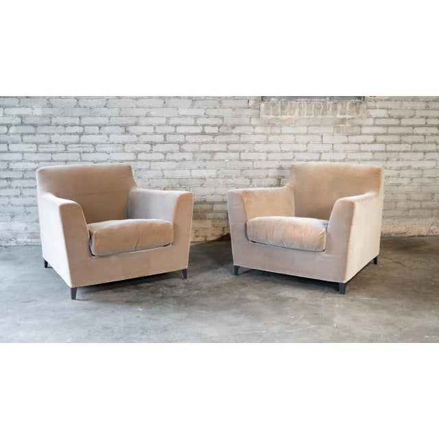 Ligne Roset 'Rive Droite' club chairs by Didier Gomez, circa 2000s. Wrapped in original velvet fabric. Squared backrest...