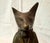 Vintage Fox Figurine Bronze Card Holder For Sale - Image 4 of 8
