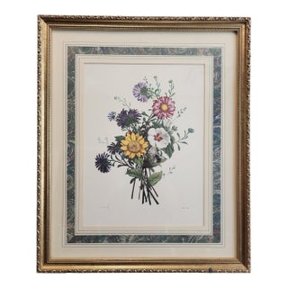 Jean Louis Prevost "Asters, Sunflower, and White Mallow" 19th Century Botanical Print For Sale