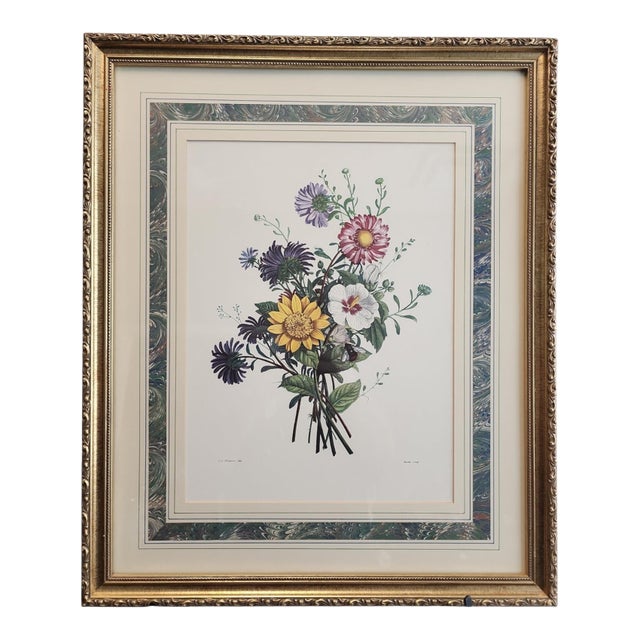Jean Louis Prevost "Asters, Sunflower, and White Mallow" 19th Century Botanical Print For Sale
