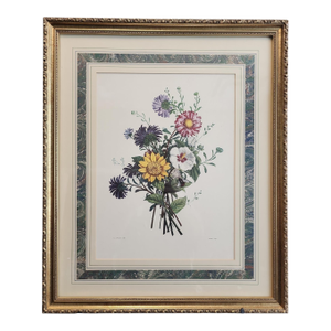 Jean Louis Prevost "Asters, Sunflower, and White Mallow" 19th Century Botanical Print