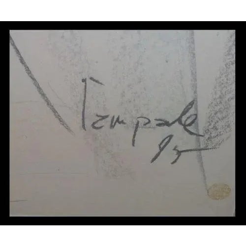 Rare Signed Dario Campanile Original Female Nude Drawing IN EXCELLENT CONDITION!!! This wonderful drawing is a genuine...