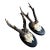 Pair of 1950s Roe Deer Trophies 899 Black Forest Antlers For Sale