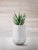 Bhaca XS Brown Planter by Indigenus Designed by Andile Dyalvane Dimensions: Ø 45,2 x H 56,5 cm. Materials: Stone. Weight:...