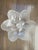 Although functional as as serving piece, this stunning large vintage glass oyster platter/bowl is beautifully detailed...