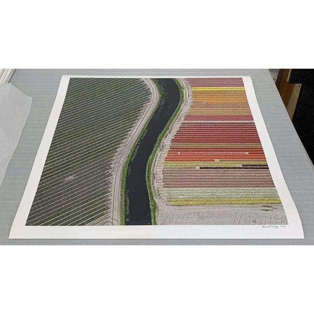 Not Yet Made - Made To Order "AV_Tulip_Fields_027" Contemporary Limited Edition Photography Fine Art Print by Bernhard Lang For Sale - Image 5 of 10