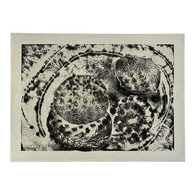 Vintage Abstract Amoeba Aluminum Etching by David Phillips, Signed (2008, Etching on Metal) For Sale