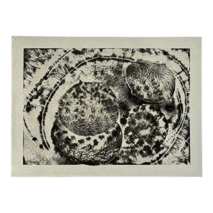 Vintage Abstract Amoeba Aluminum Etching by David Phillips, Signed (2008, Etching on Metal)