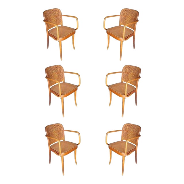 1920s Josef Hoffmann for Stendig Bentwood Cane Dining Chairs, Set of Six For Sale