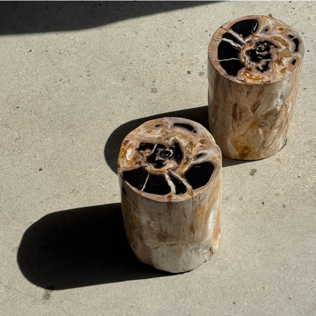 Petrified Wood Side Table For Sale - Image 13 of 18