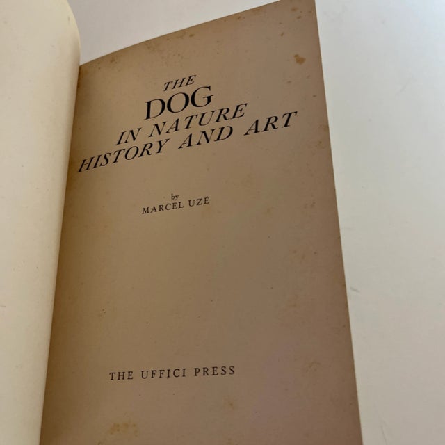 Florence, Italy The Uffici Press, c. 1950s. Small hardcover; First edition. Illustrated throughout out with lovely...