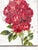 Contemporary Red Crested Flower - Hand Textured Red Flower For Sale - Image 3 of 9