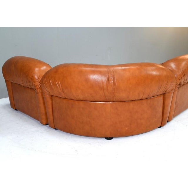 Sectional Sofa in Cognac Leather by Rossi Di Albizzate, Italy, 1970s, Set of 5 For Sale - Image 15 of 18
