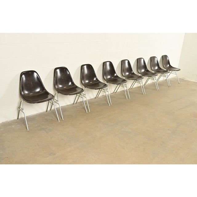 Charles & Ray Eames for Herman Miller DSS Seal Brown Stacking Shell Chairs | Set of Eight For Sale - Image 15 of 15