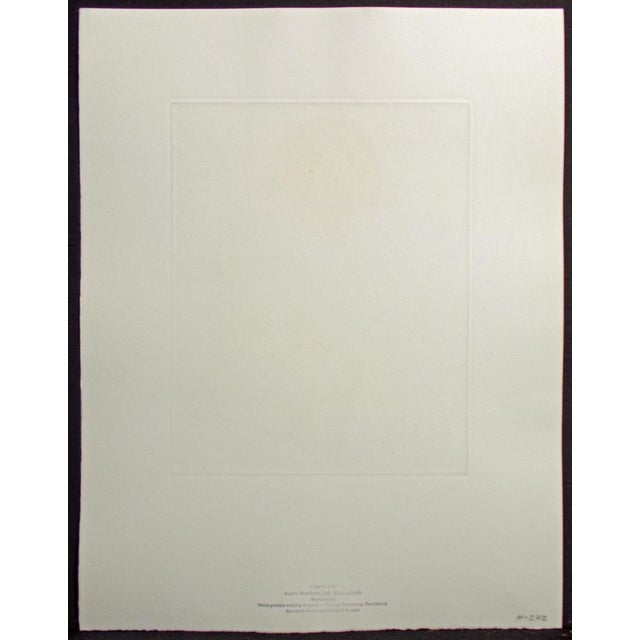 1990s Roger Hebbelinck "Nu No. 2" Nude #2 Hand Signed Vintage Etching For Sale - Image 5 of 8