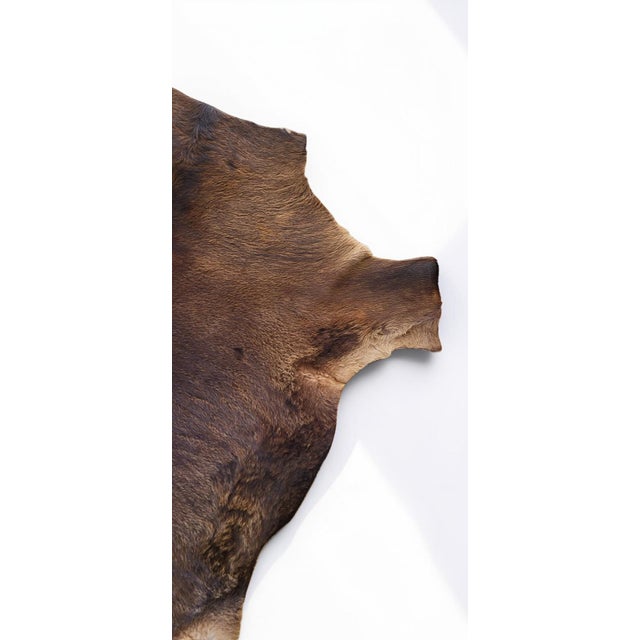 Vintage Rug in Cowhide, 1970s For Sale - Image 6 of 9