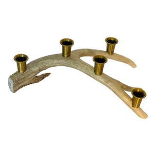 1970s Caribou Antlers Brass Candlestick For Sale