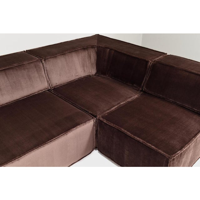 Trio Sectional Sofa in Chocolate Brown Velvet with New Upholstery from Cor, 1972, Set of 10 For Sale - Image 12 of 18