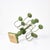 Folk Art Allmoge Candleholder, 1890s For Sale - Image 3 of 4