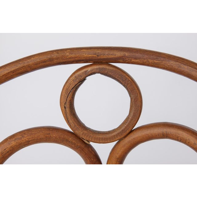 Stained Beech Bentwood Angel Chairs with Vienna Cane Seats, 1940s, Set of 2 For Sale - Image 6 of 9
