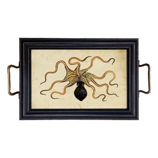 Octopus Tray With Brass Handles For Sale