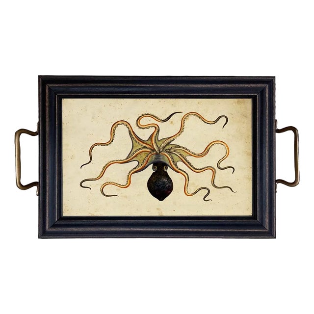 Octopus Tray With Brass Handles For Sale