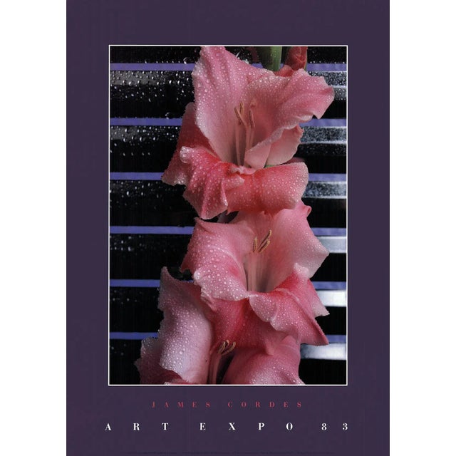 Photorealism 1983 James Cordes 'Gladiolus' Photography Pink,Blue,Black Usa Offset Lithograph For Sale - Image 3 of 3
