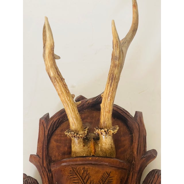 Rustic Antique Black Forest Deer Antlers Trophy Mounted Handcarved Board For Sale - Image 3 of 4