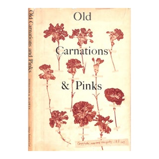 "Old Carnations & Pinks" 1955 Moreton, C. Oscar For Sale