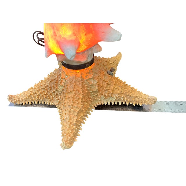 Vintage Natural Conch Shell & Starfish Coastal Table Lamps - a Pair For Sale - Image 17 of 18