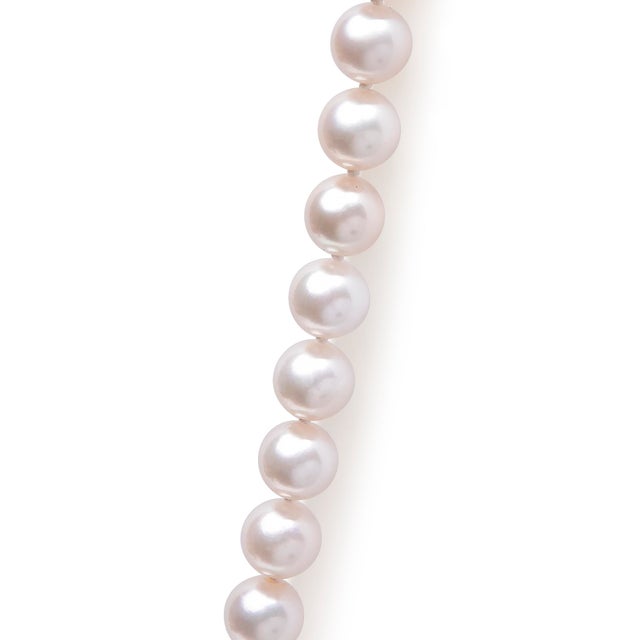 Envelop your neckline in the timeless elegance of the Akoya Pearl Strand Necklace, each pearl meticulously cultured and...