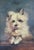 Victorian Antique 19th Century Victorian Oil Painting Portrait of a Terrier Dog For Sale - Image 3 of 14