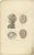 Set of 13 antique anatomy prints of vessels and the lymphatic system of the human body. These prints originate from...