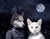 This artwork presents a surreal union between anthropomorphic figures, blending elements of human and animal traits in a...