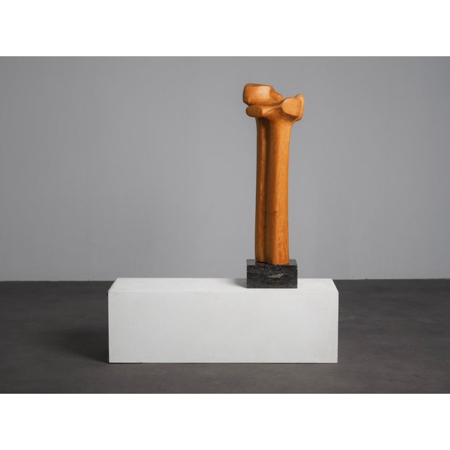 Biomorphic Modernist Sculpture in Carved Wood, Netherlands, 1970s For Sale - Image 3 of 9