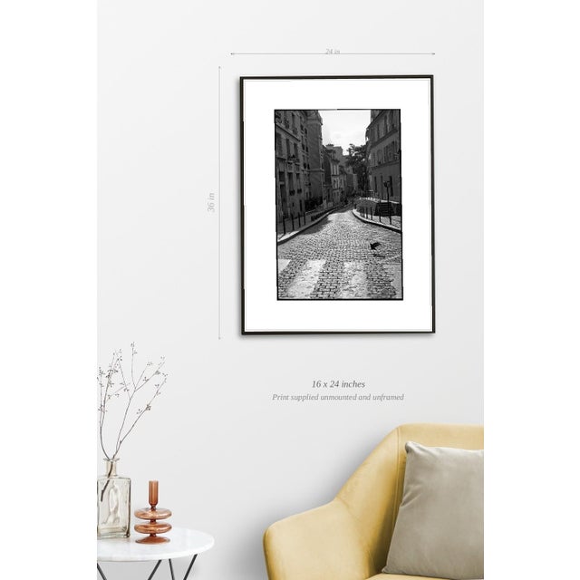Paul Cooklin, Pigeon Crossing, Paris, Edition of 50 For Sale - Image 4 of 7