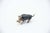 Miniature Boar in Nielada Silver For Sale - Image 3 of 3
