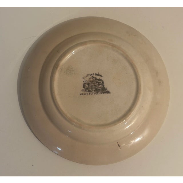 A stick spatterware ironstone china plate made by Mayer Pottery, c. 1890 Trenton NJ with a tulip border with inner blue...