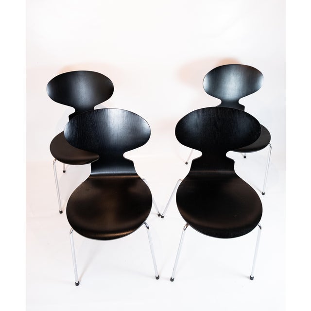Set of four black Ant chairs, model 3101, designed by Arne Jacobsen in 1952 and manufactured by Fritz Hansen in 2006. The...