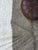 Beige Neutral Contemporary Moroccan Rug - 8.4 X 5.9 Ft For Sale - Image 8 of 8