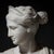 Grand Tour Marble Bust of Diana of Versailles, 19th Century For Sale - Image 10 of 18