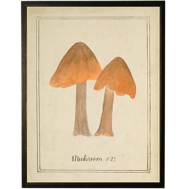 Orange Mushrooms in Black & Copper Shadowbox 13 x 17