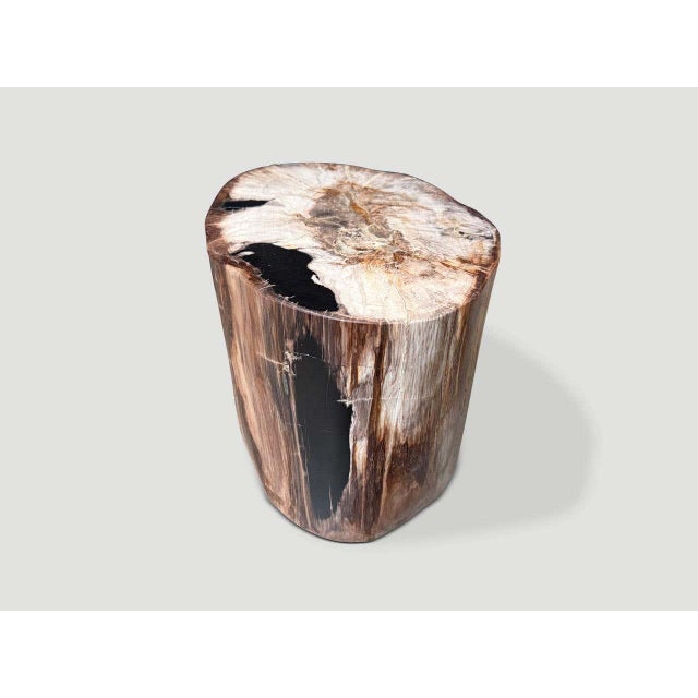 Andrianna Shamaris Ancient High Quality Petrified Wood Side Table For Sale - Image 4 of 4