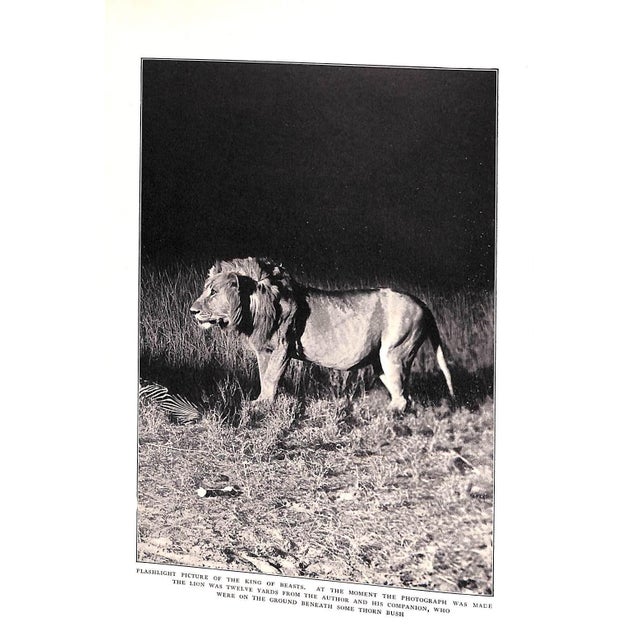 Paper "Camera Adventures in the African Wilds" 1910 Dugmore, A. Radclyffe f.r.g.s. For Sale - Image 7 of 10