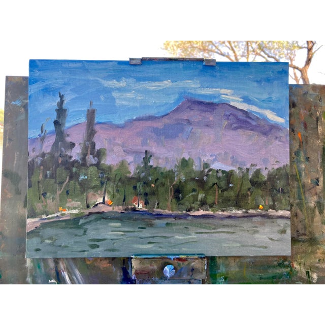 2020s Modern Plein Air Landscape Oil Painting by Lisa Haas For Sale - Image 5 of 5