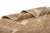 Ancient marks on warm earth: a quiet language of forms, reimagined for modern living. Ivory shapes rise from a light mocha...